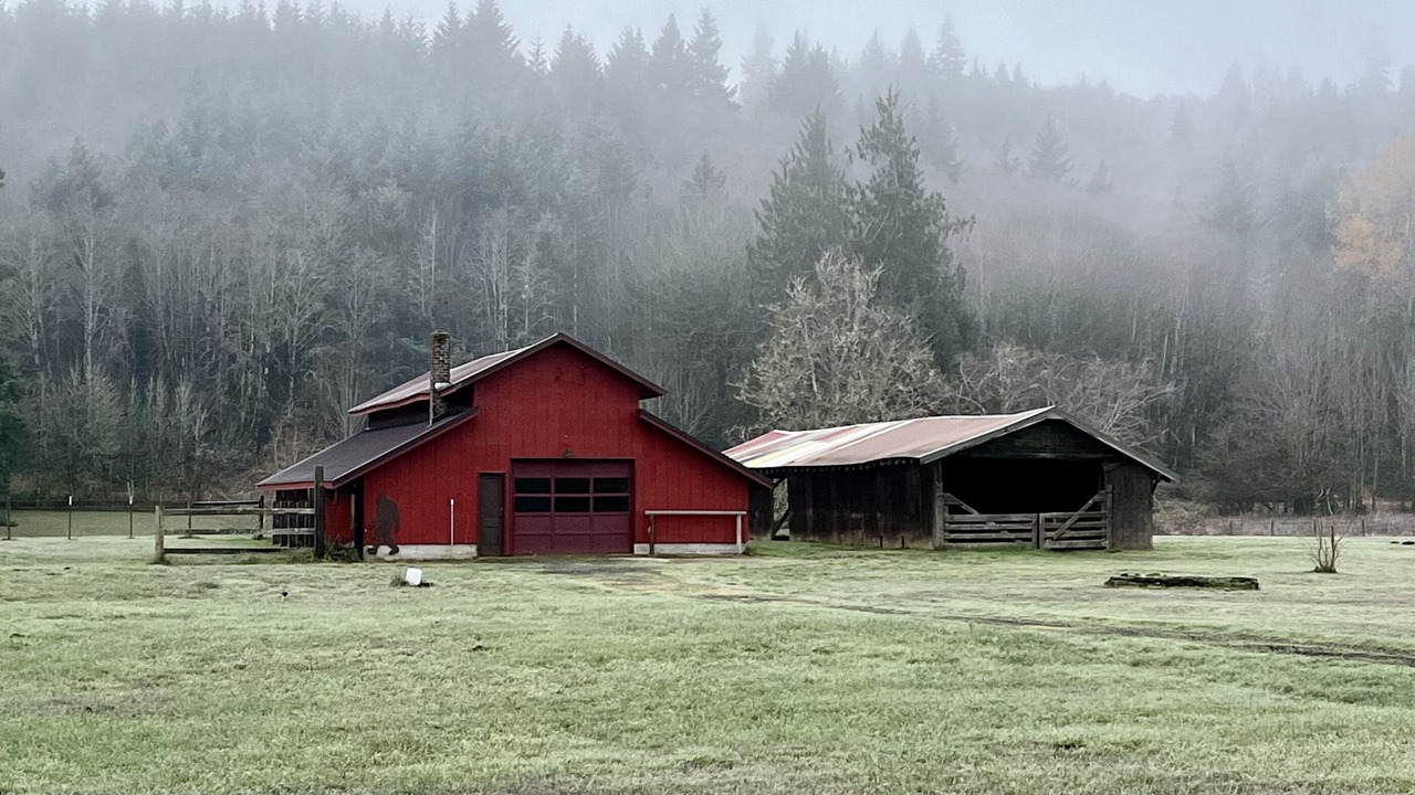 Photo of Others in Curtis