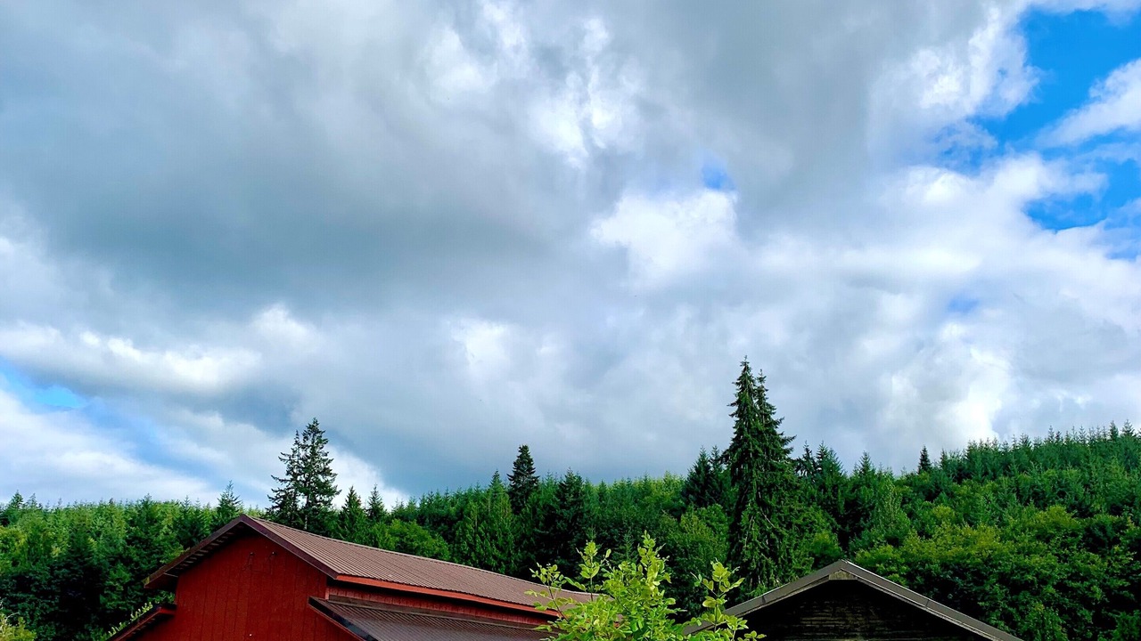 Photo of Others in Curtis