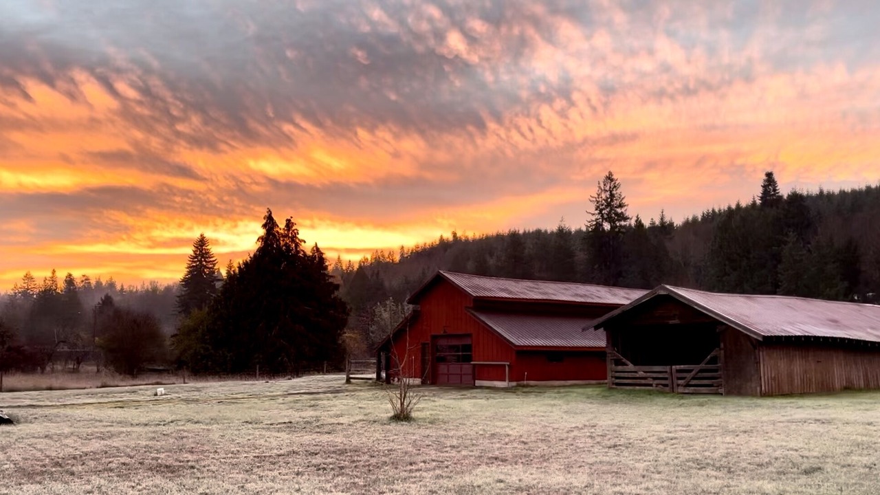 Photo of Outdoor in Curtis