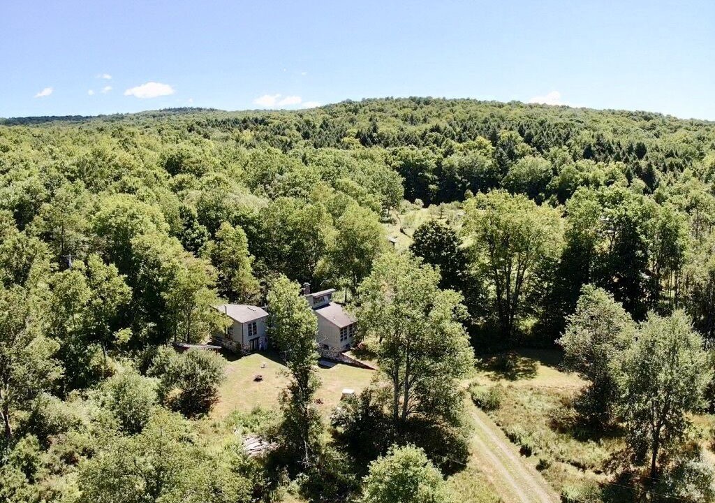 Photo of Outdoor in Sidney Center