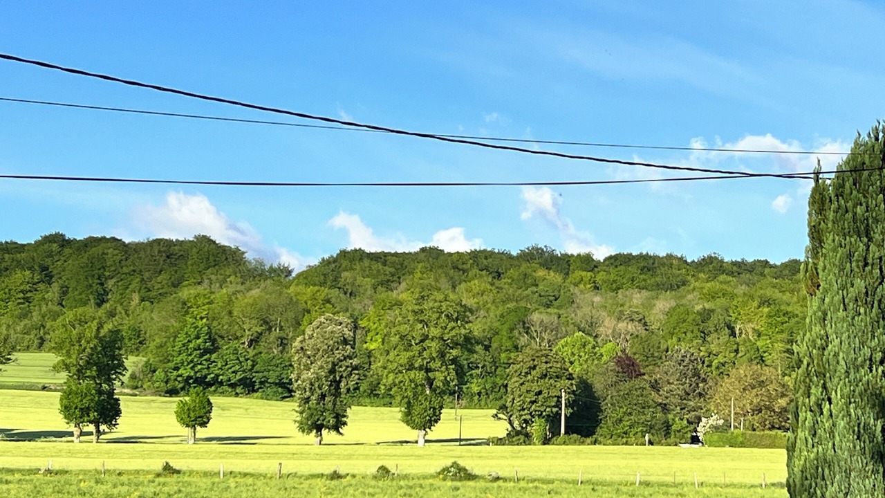 Photo of Others in Saint-Germain-sur-Bresle
