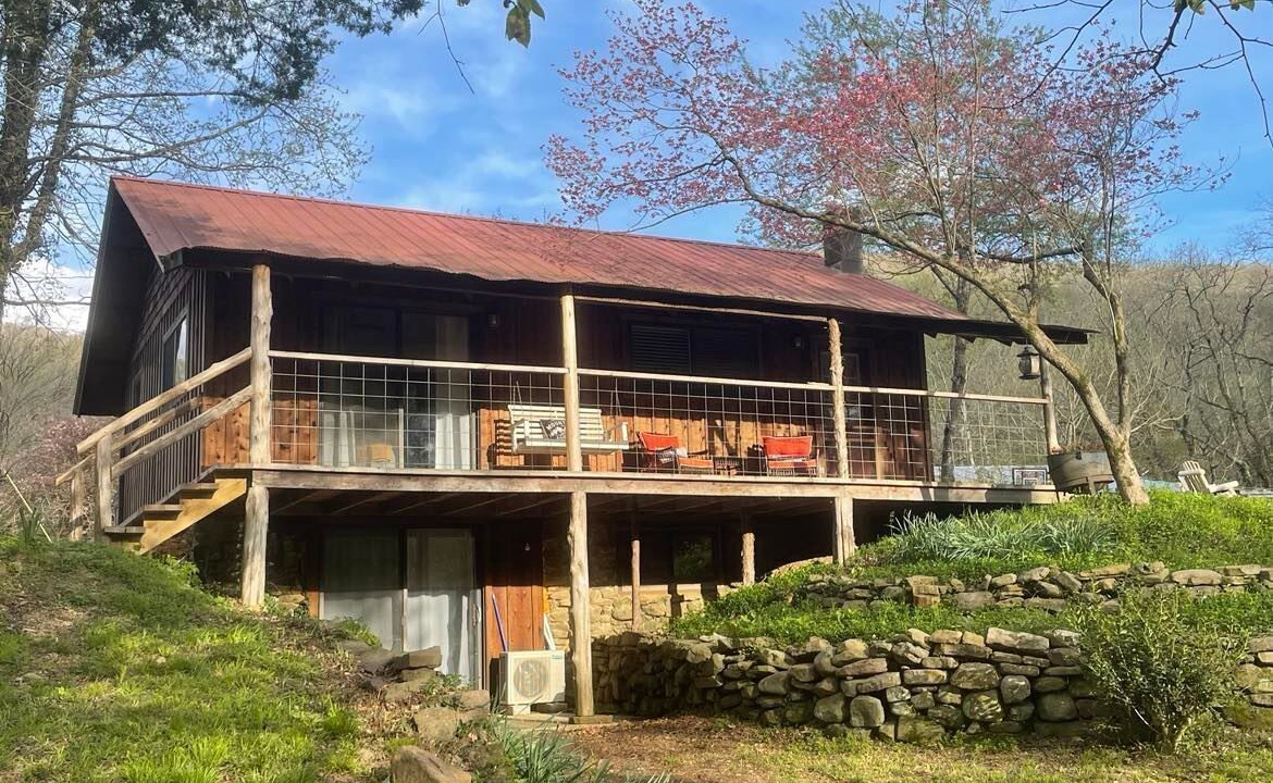 Photo of Outdoor in Deer