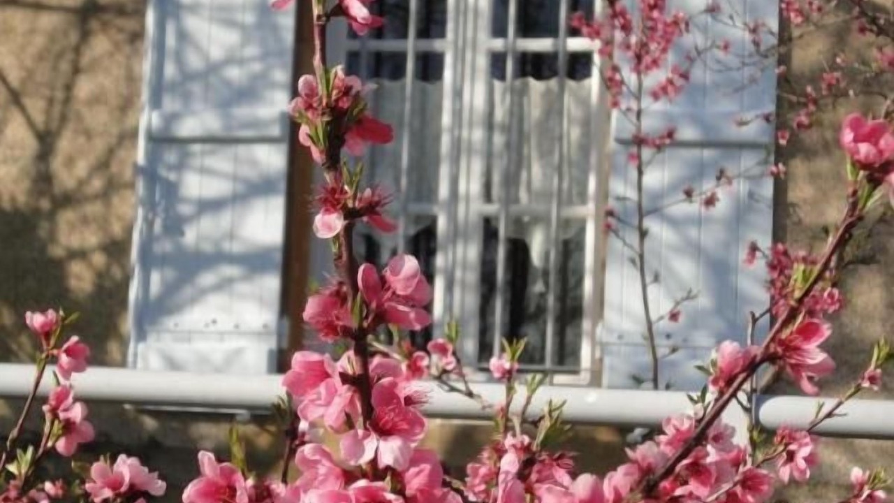 Photo of Outdoor in Rigny-sur-Arroux