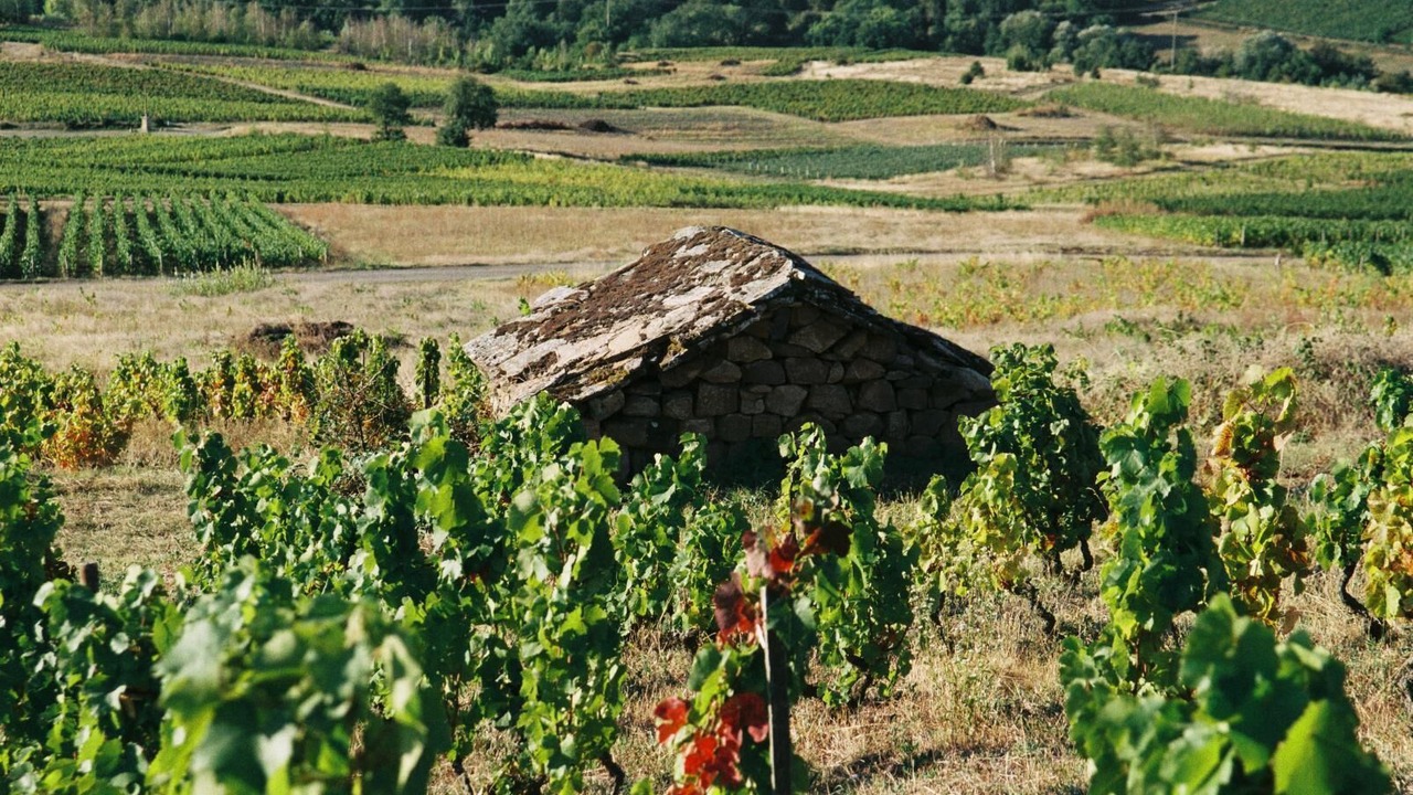 Photo of Outdoor in Chaintre