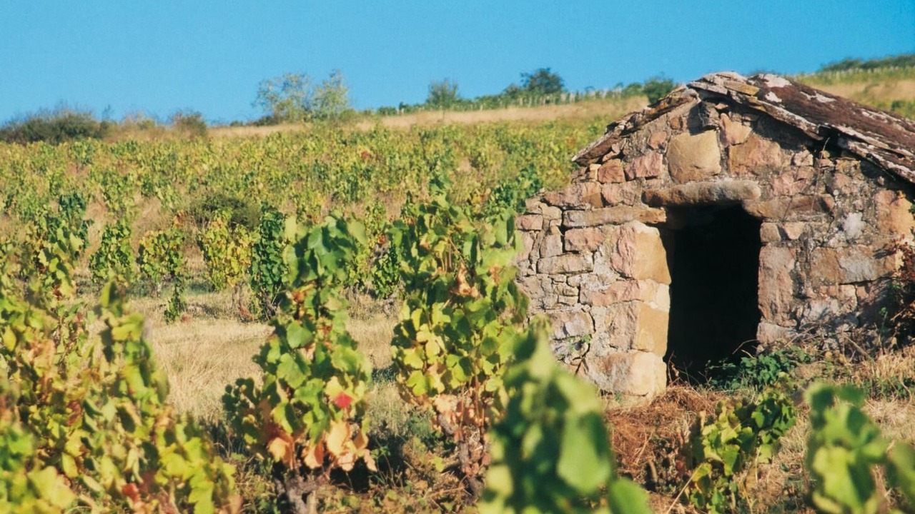 Photo of Outdoor in Chaintre