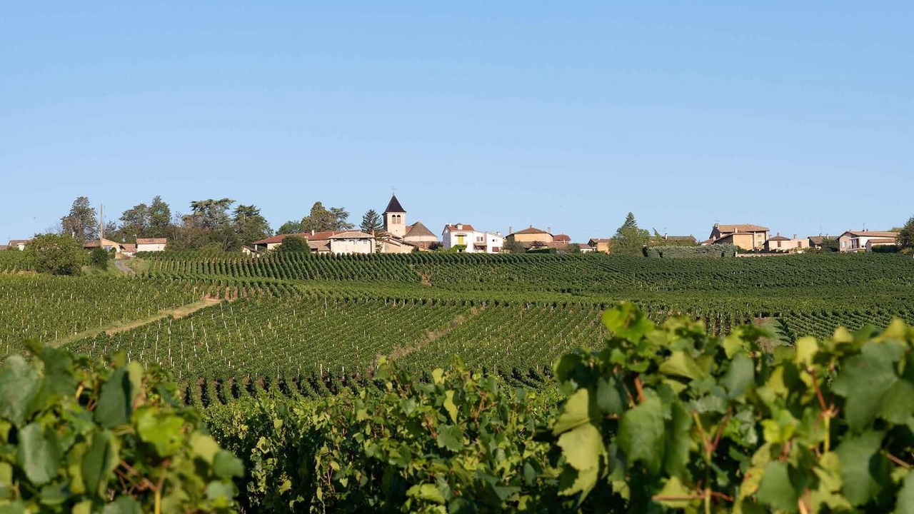 Photo of Outdoor in Chaintre