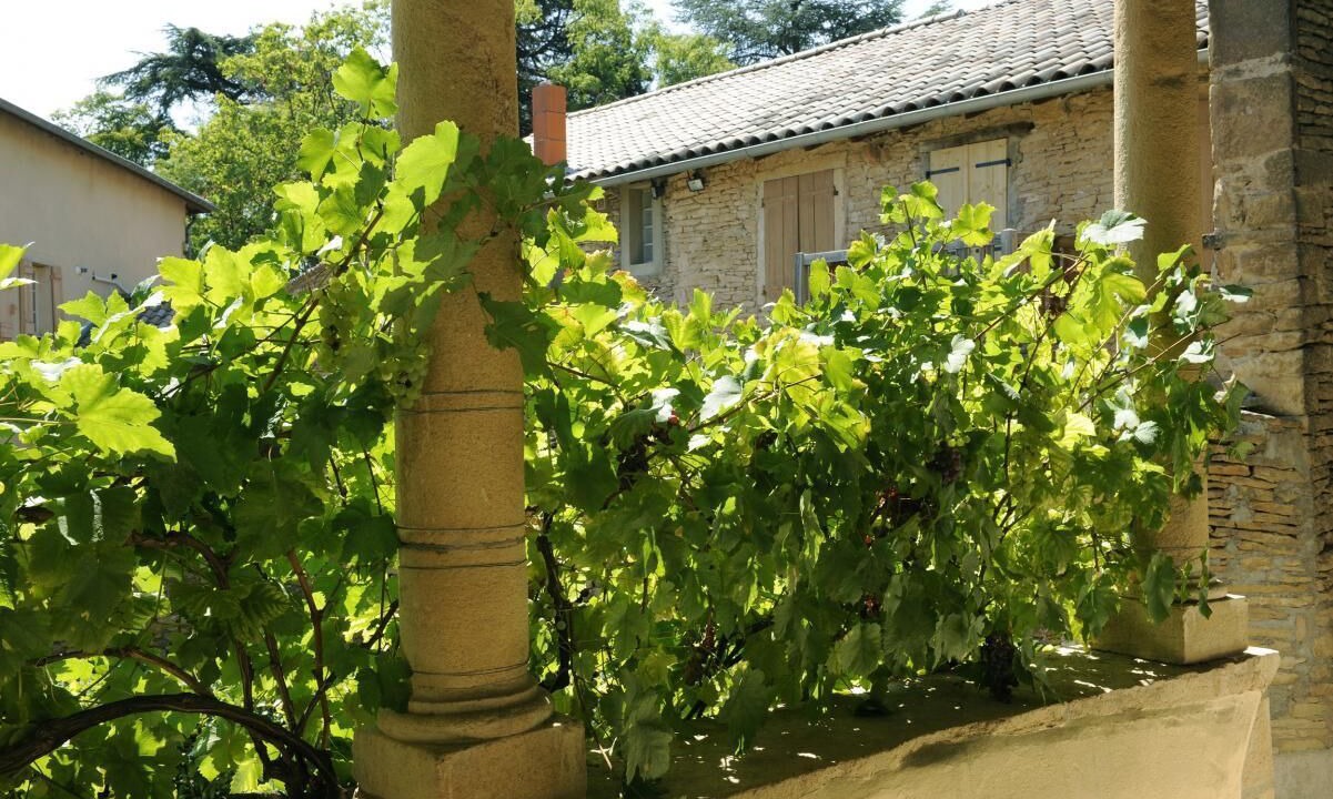 Photo of Outdoor in Chaintre