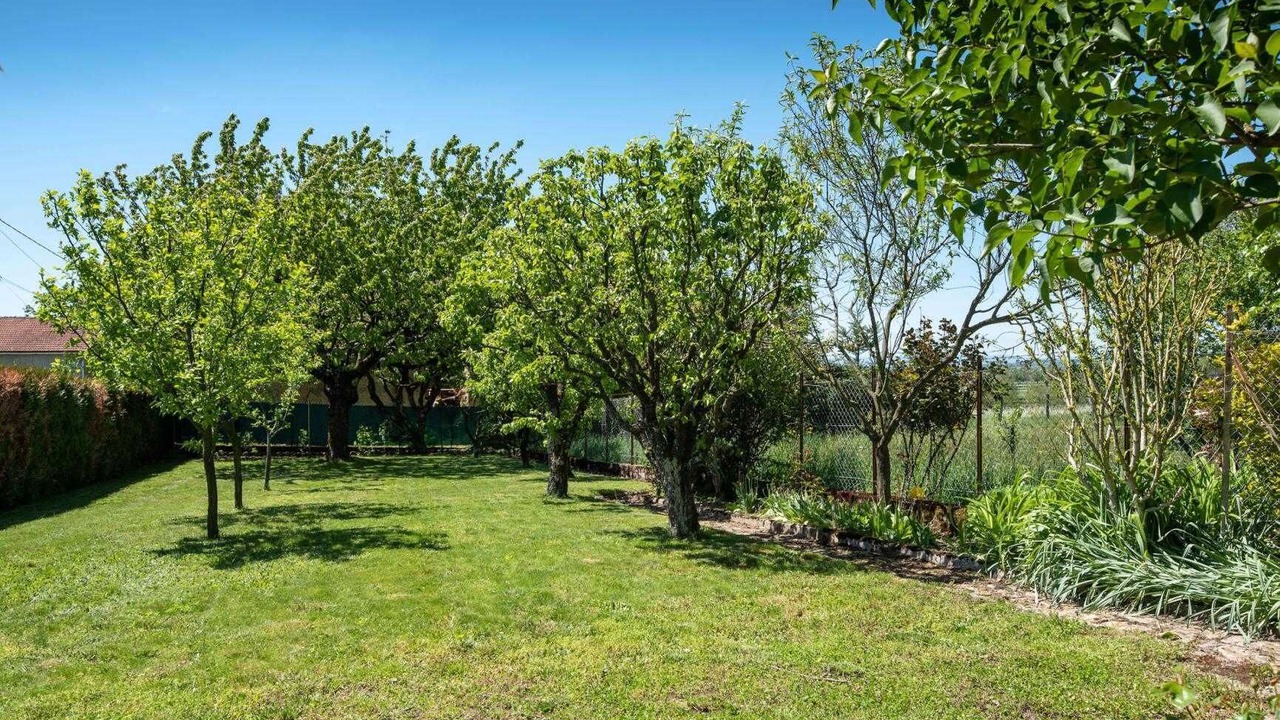 Photo of Outdoor in Vauban