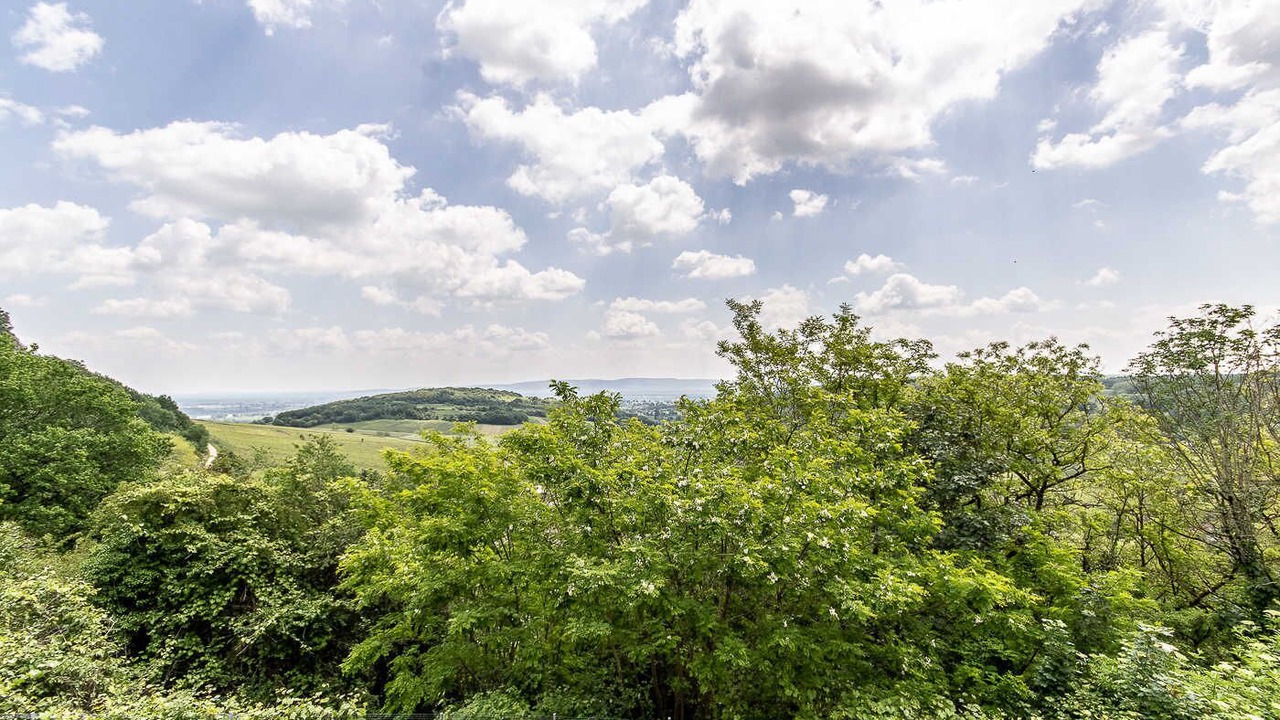 Photo of Others in Culles-les-Roches