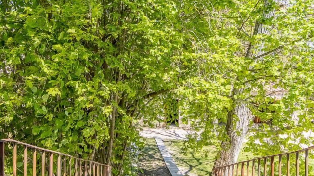 Photo of Outdoor in Mellecey