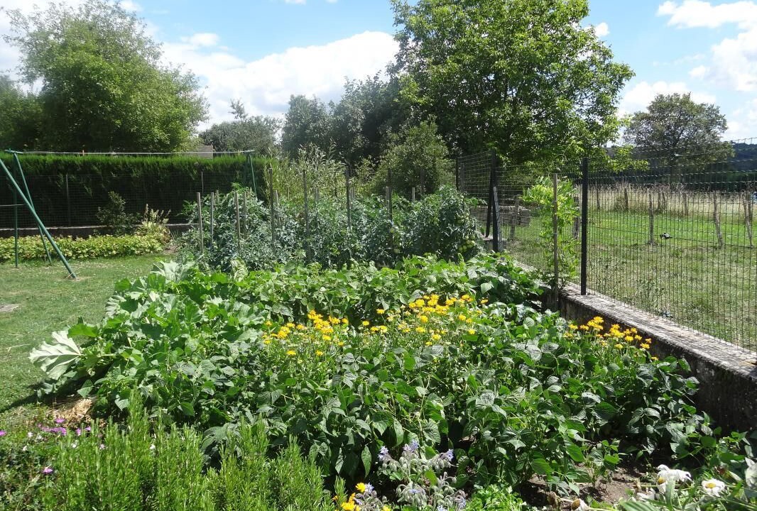 Photo of Outdoor in Perreuil