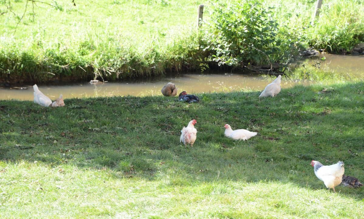 Photo of Outdoor in Dyo