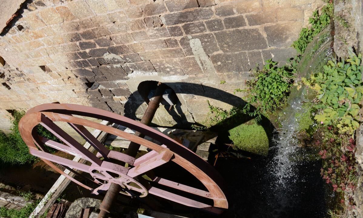 Photo of Others in Dyo