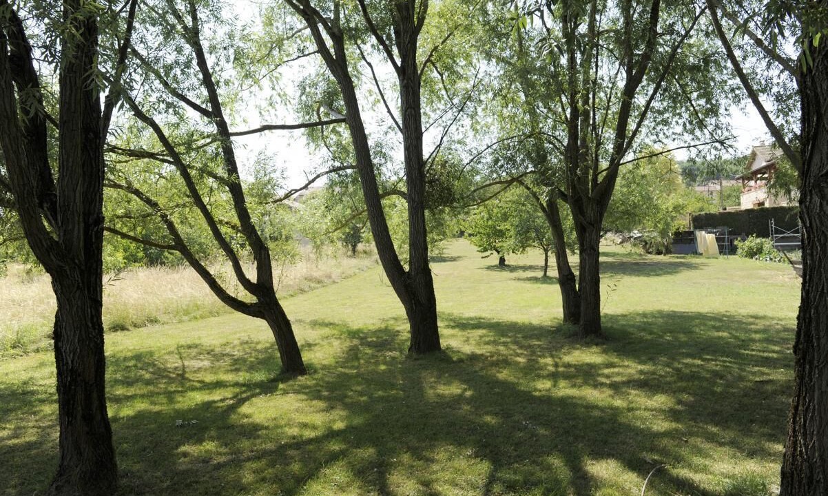 Photo of Outdoor in Lugny