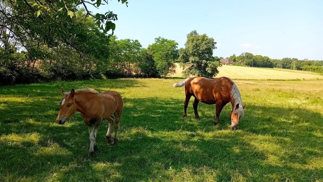 Photo of Bedroom in Simard