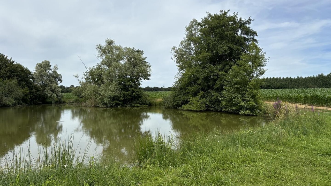 Photo of Outdoor in Simard