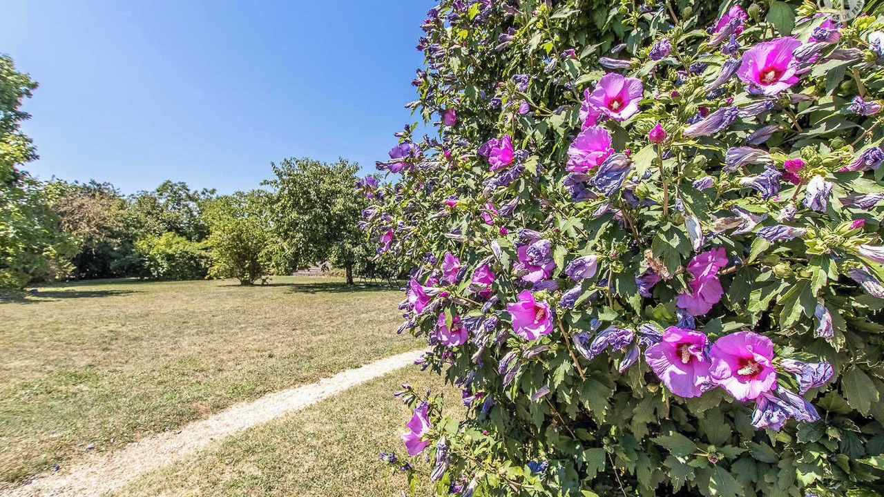 Photo of Outdoor in Saint-Sernin-du-Plain