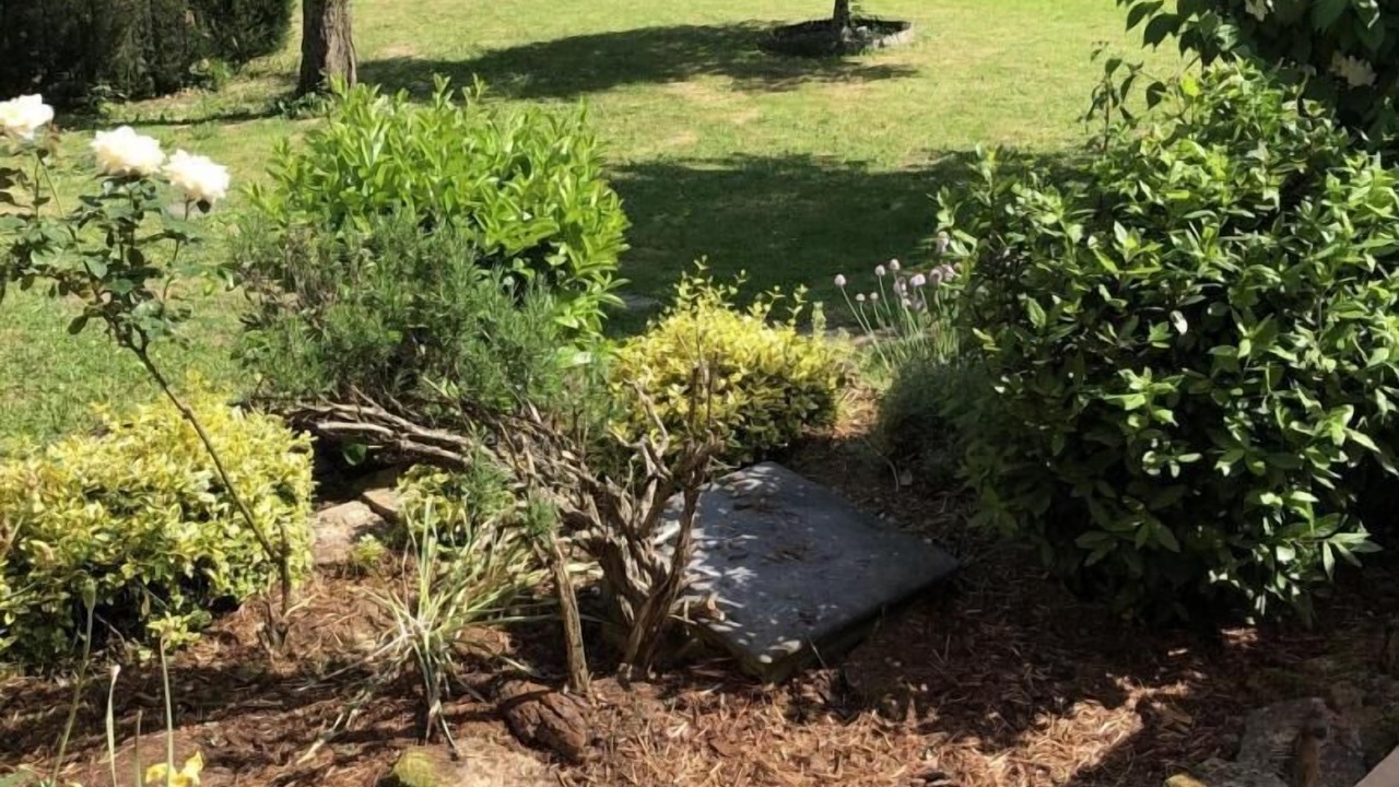 Photo of Outdoor in Torpes