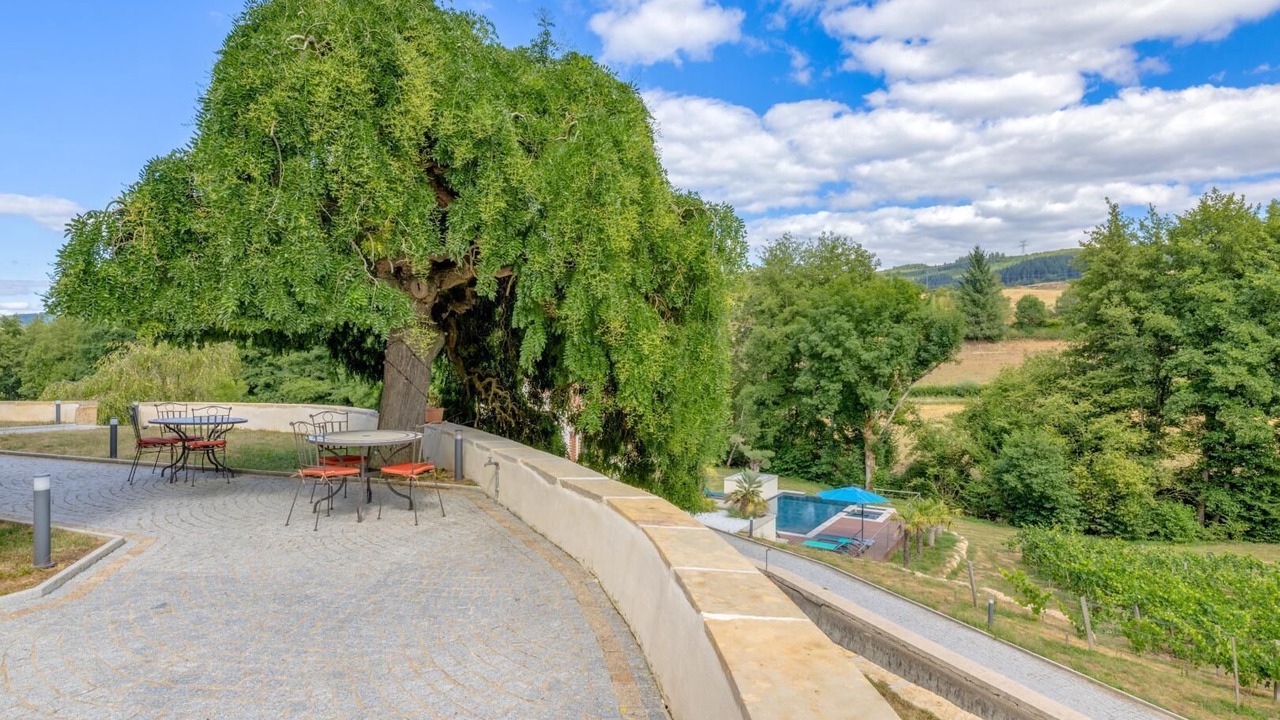 Photo of Outdoor in Bourgvilain