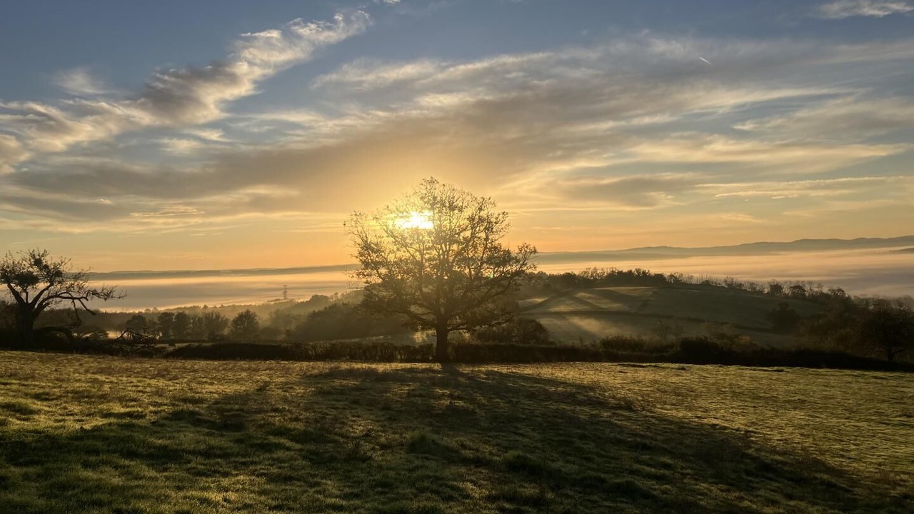 Photo of Others in Saint-Marcelin-de-Cray
