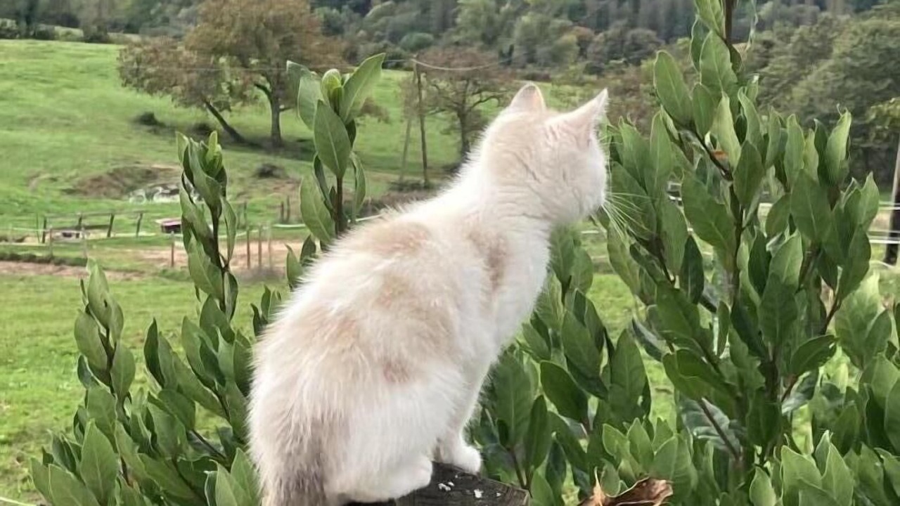 Photo of Outdoor in Saint-Marcelin-de-Cray