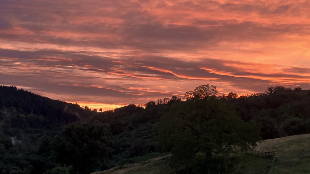 Photo of Others in Saint-Marcelin-de-Cray