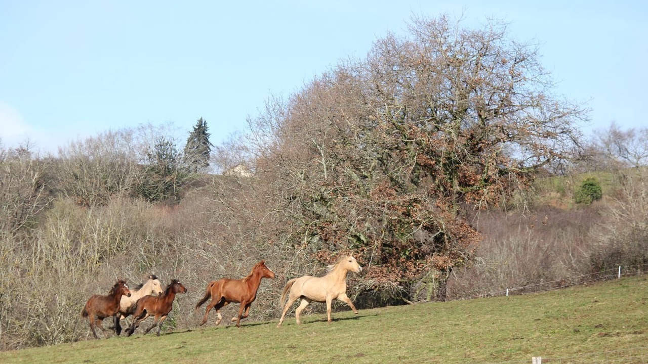 Photo of Outdoor in Saint-Marcelin-de-Cray