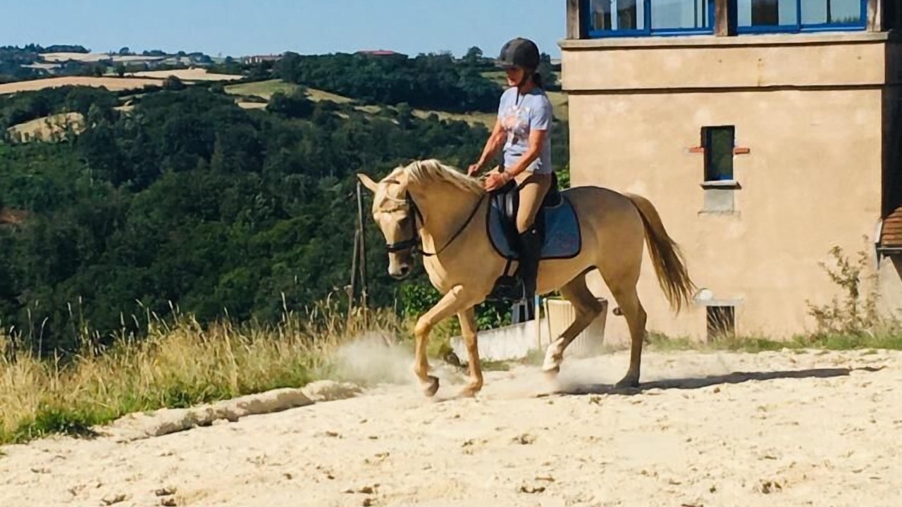 Photo of Others in Saint-Marcelin-de-Cray