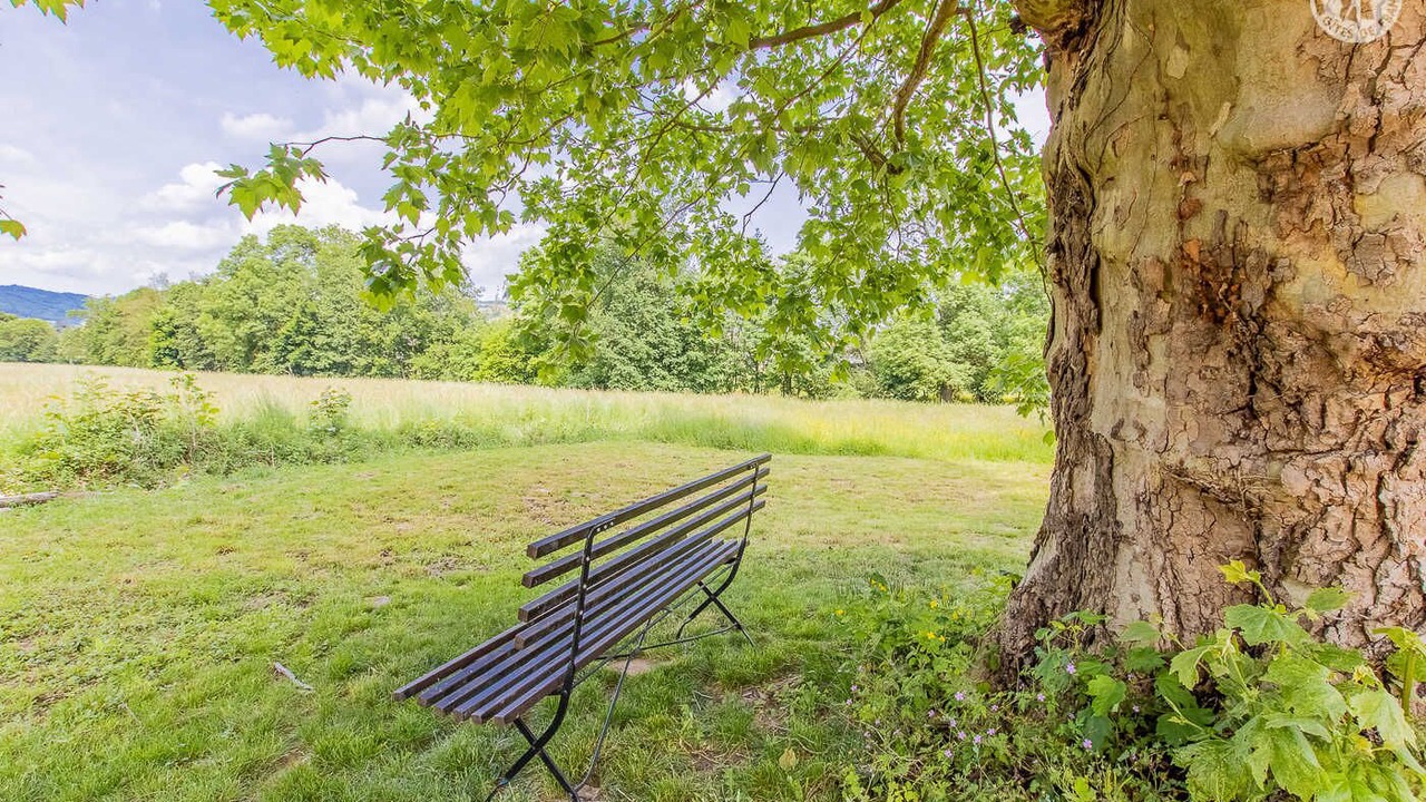 Photo of Outdoor in La Chapelle-de-Guinchay