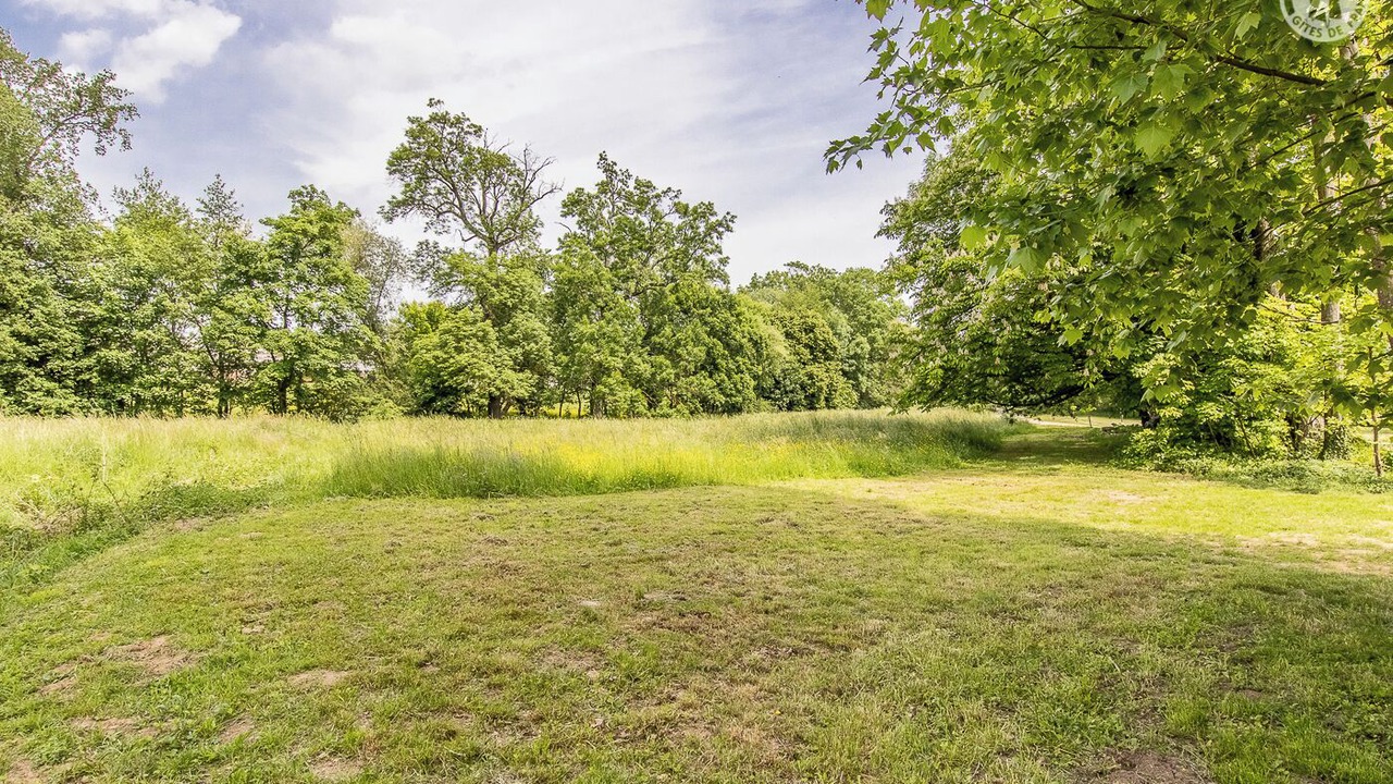 Photo of Others in La Chapelle-de-Guinchay