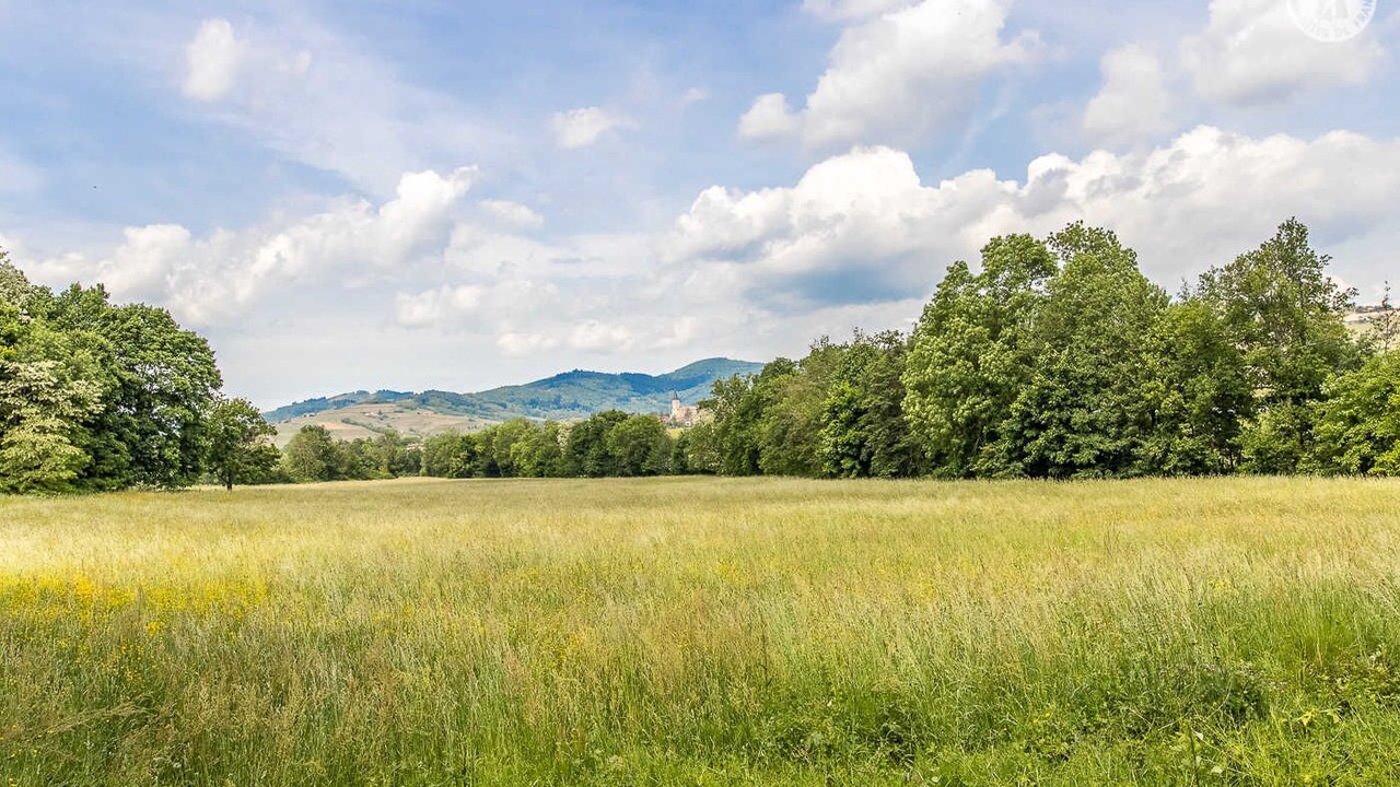 Photo of Others in La Chapelle-de-Guinchay