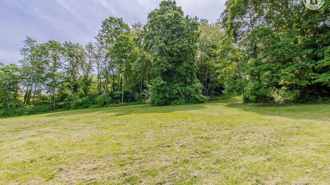 Photo of Outdoor in La Chapelle-de-Guinchay