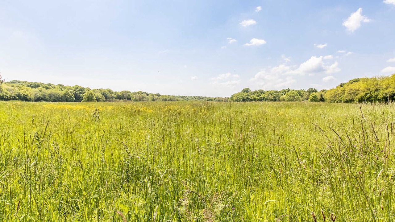 Photo of Outdoor in Cuiseaux