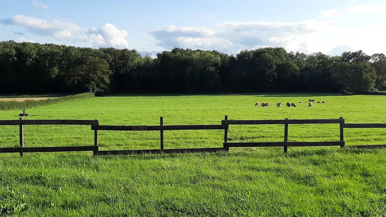 Photo of Others in Saint-Marcelin-de-Cray