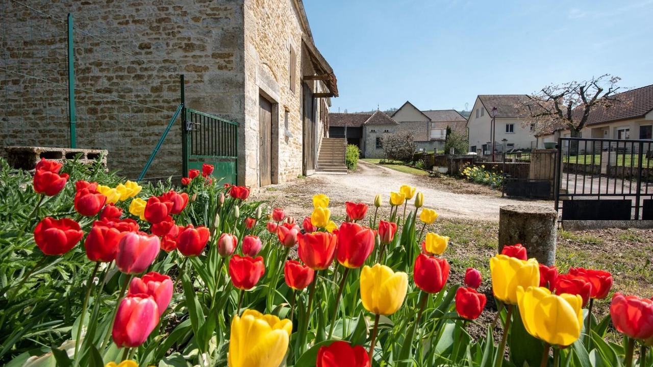 Photo of Outdoor in Saint-Sernin-du-Plain