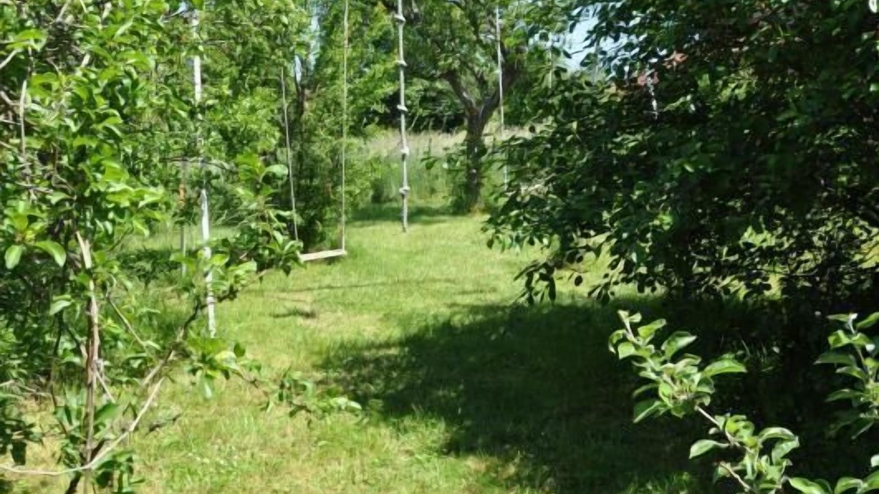 Photo of Outdoor in Etrigny