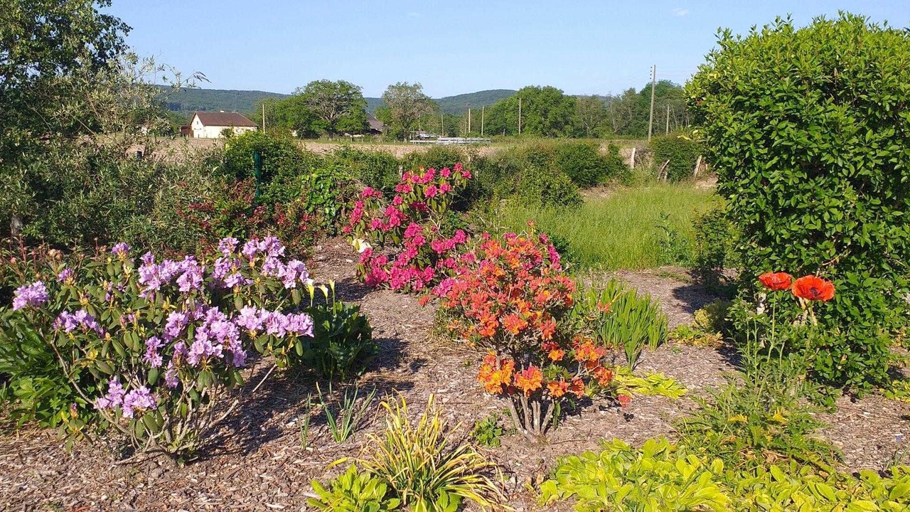 Photo of Outdoor in Epinac