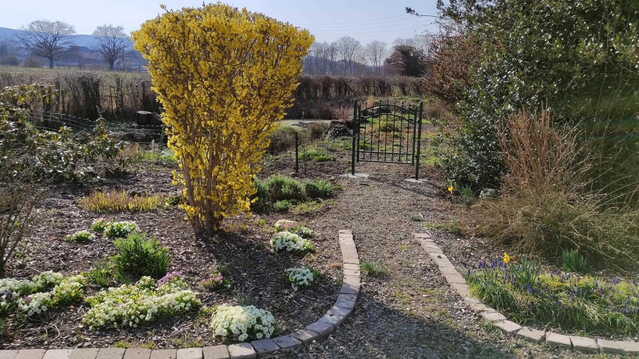 Photo of Outdoor in Epinac