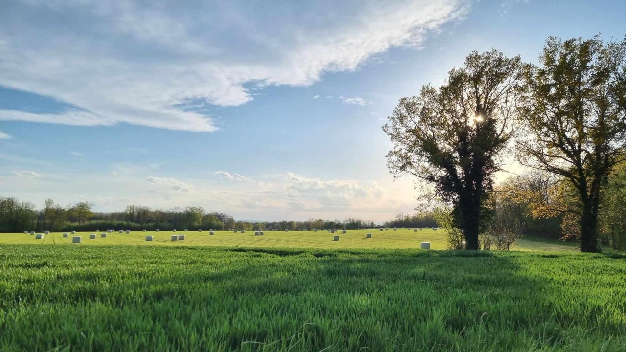 Photo of Others in Montret