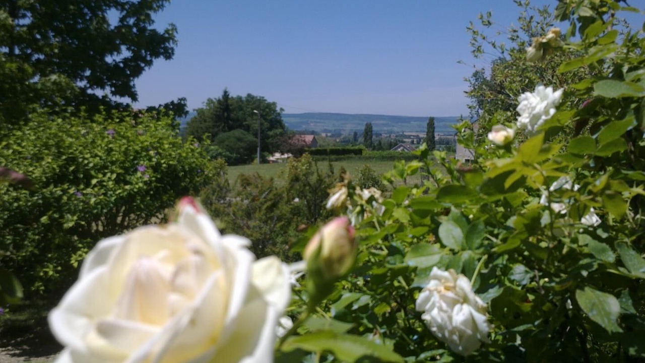 Photo of Outdoor in Demigny