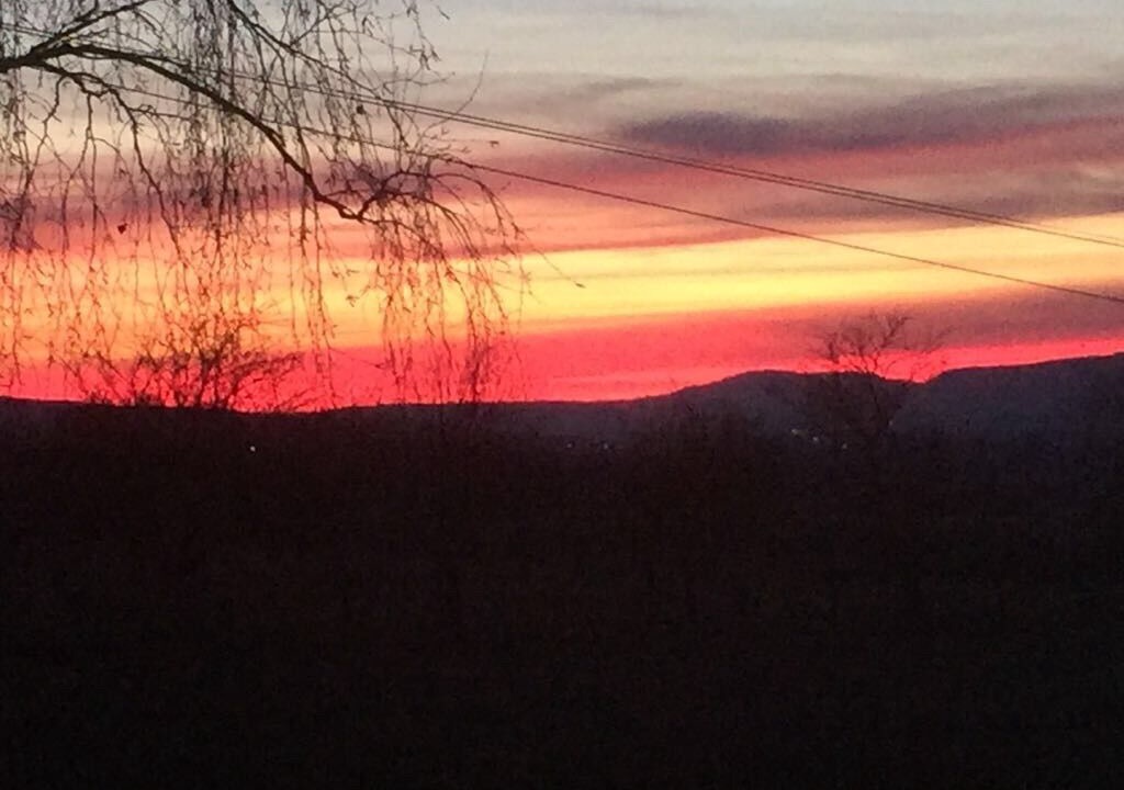 Photo of Others in Demigny