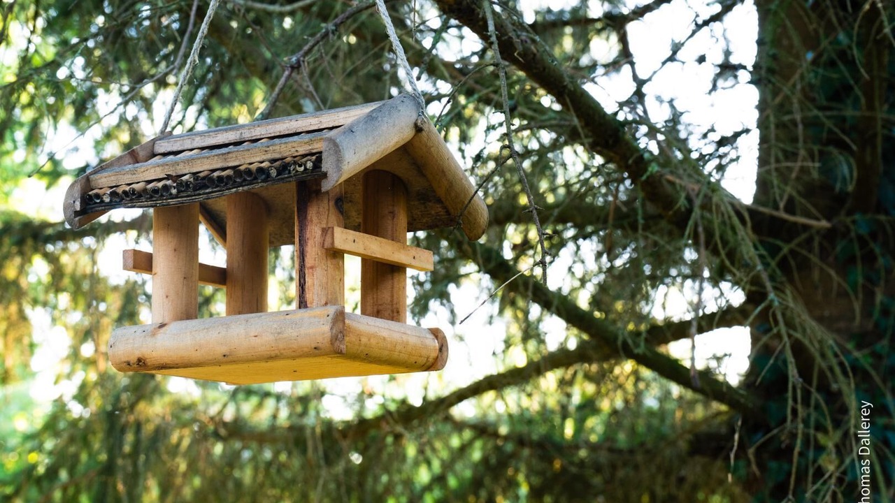 Photo of Others in Tronchy