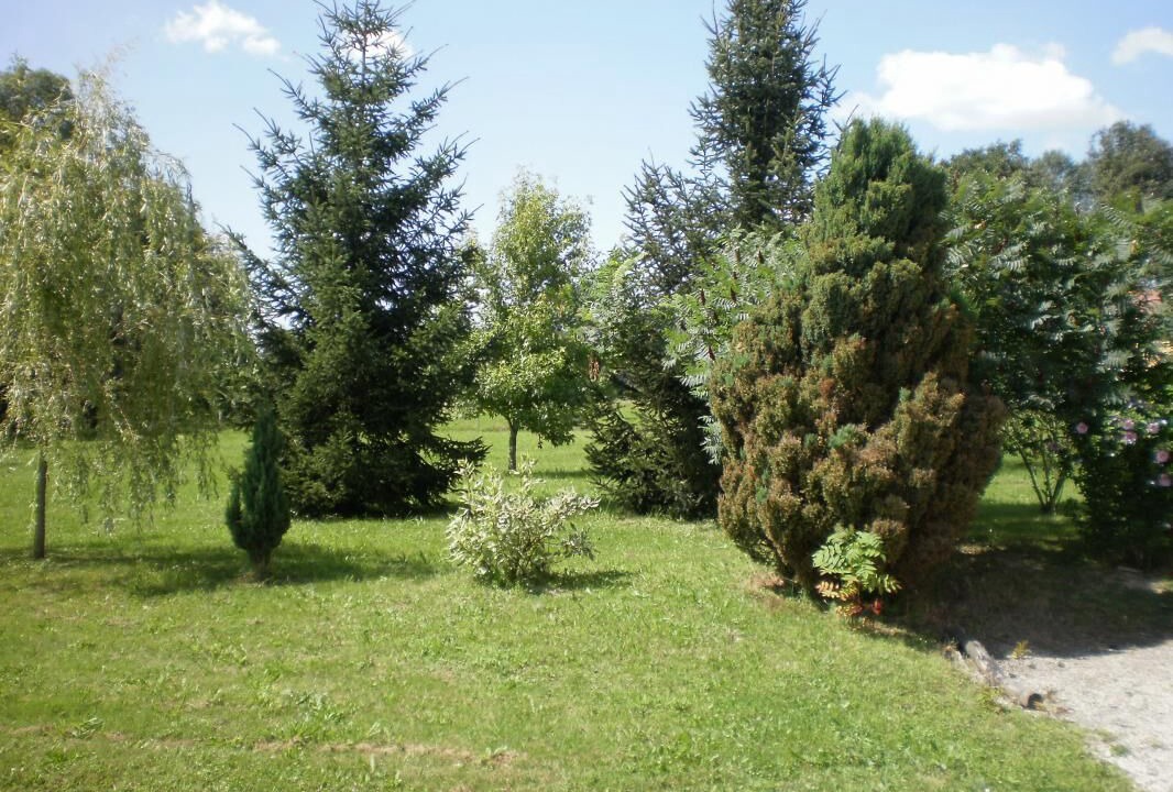 Photo of Outdoor in Tronchy