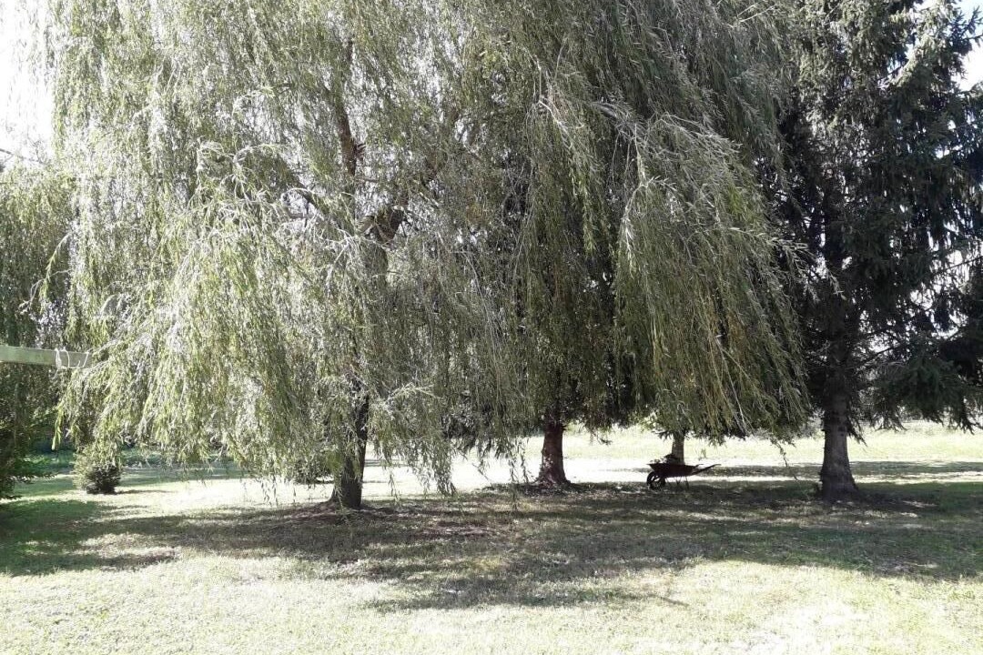 Photo of Others in Tronchy