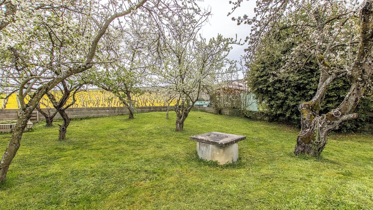 Photo of Outdoor in Solutre-Pouilly