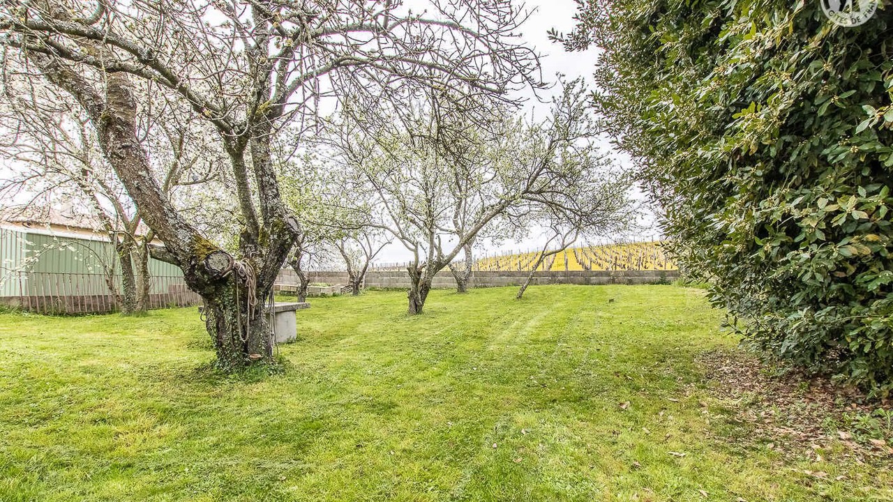 Photo of Outdoor in Solutre-Pouilly