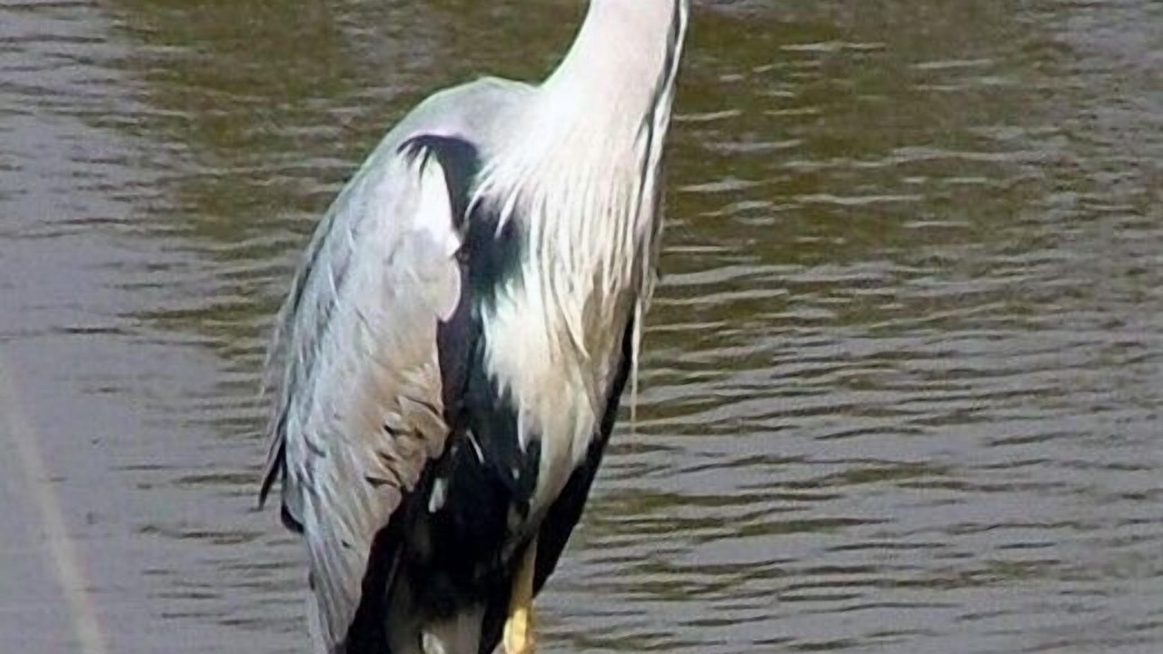 Photo of Others in Tronchy