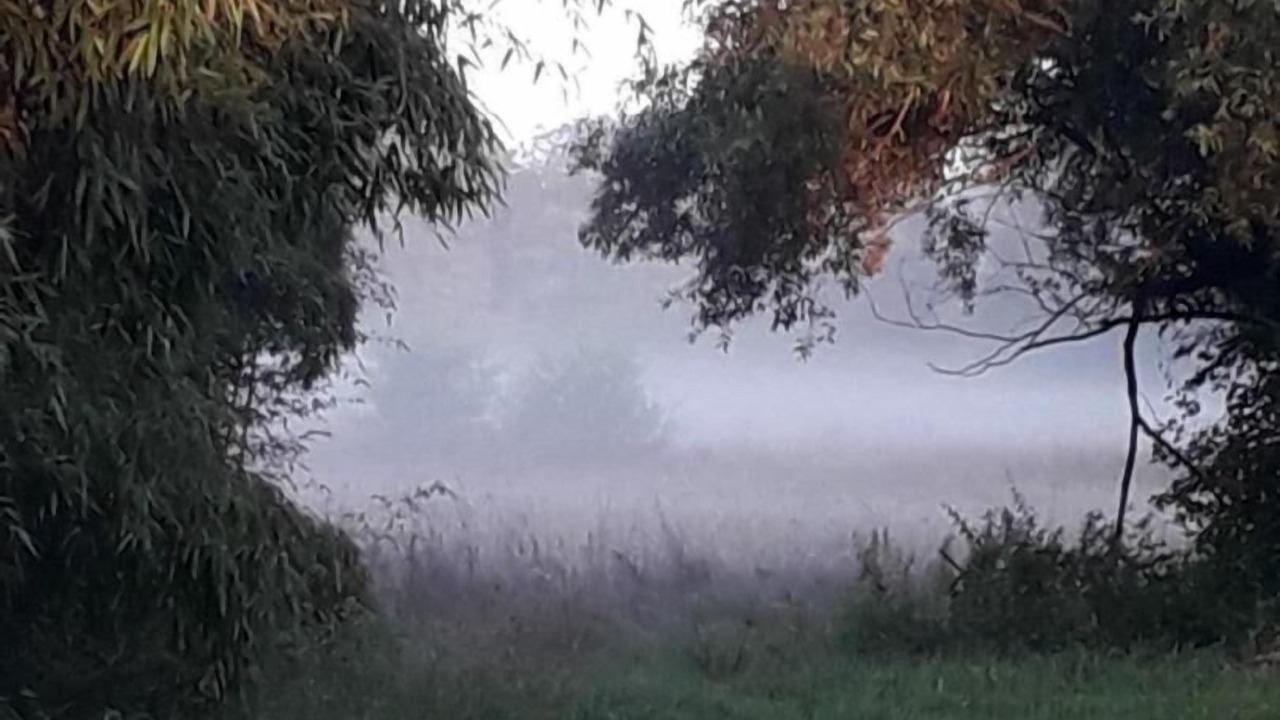 Photo of Others in Tronchy