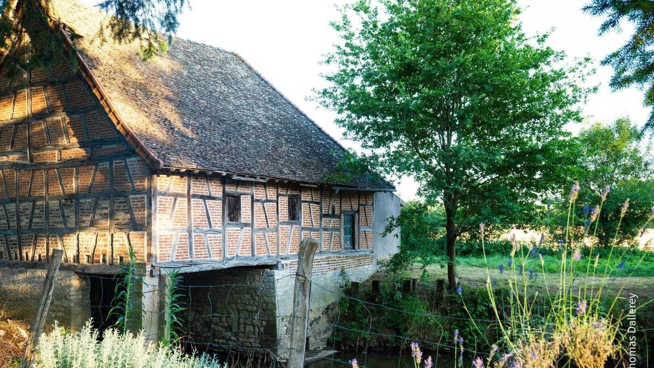 Photo of Outdoor in Tronchy