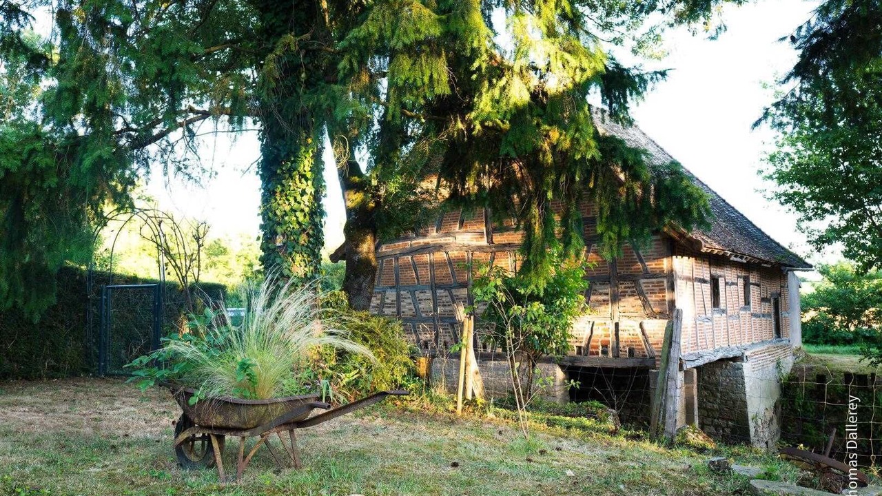 Photo of Others in Tronchy